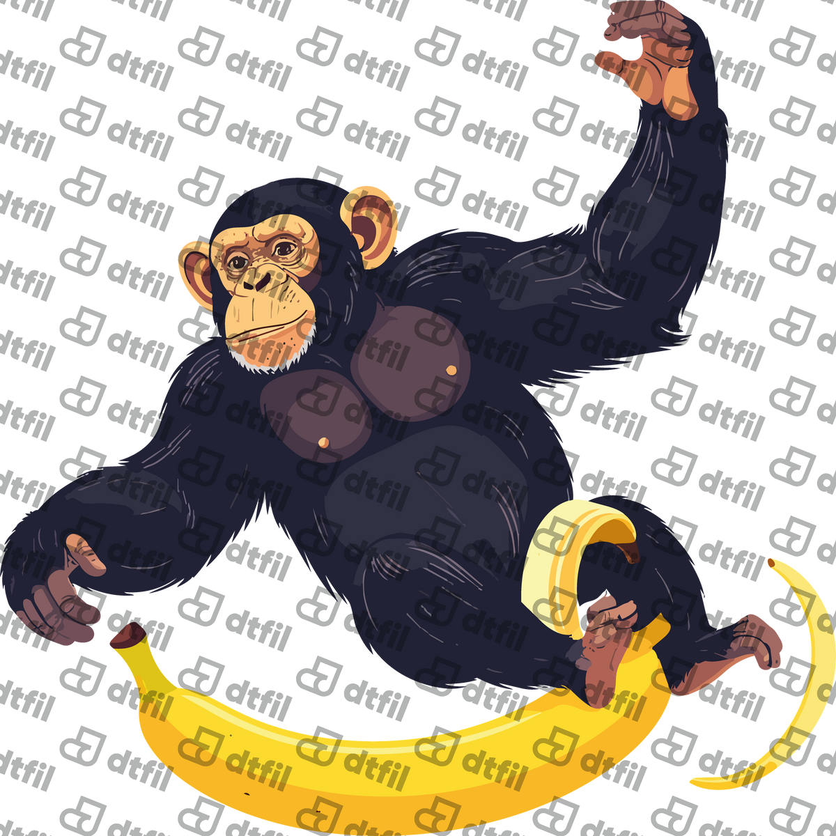 Animals - Chimpanzee on Banana
