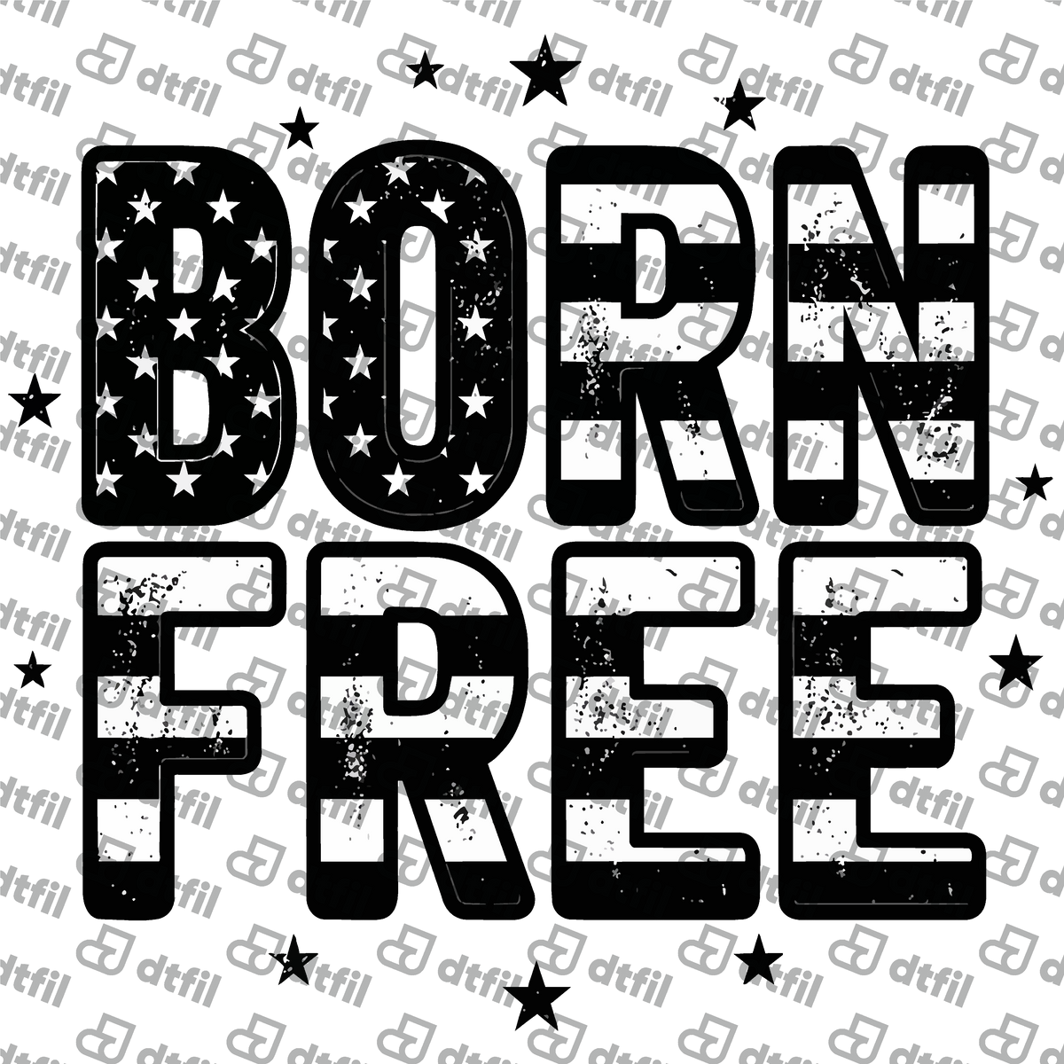 4th of July - Distressed Born Free Flag