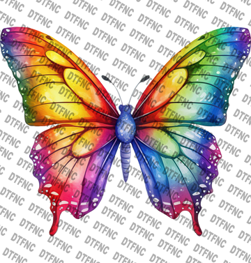 LGBTQ - Pride Butterfly