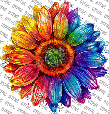 LGBTQ - Pride Sunflower